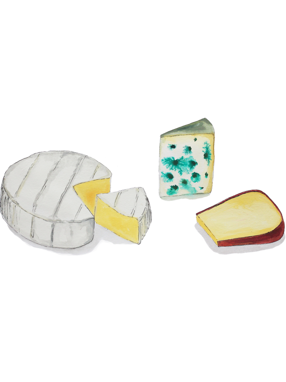 Illustration of a selection of three different cheeses, including Brie, Blue and Edam